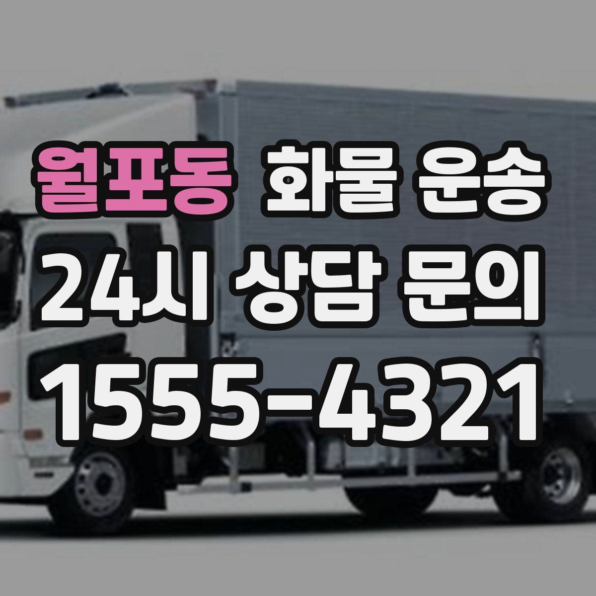 월포동 화물 운송