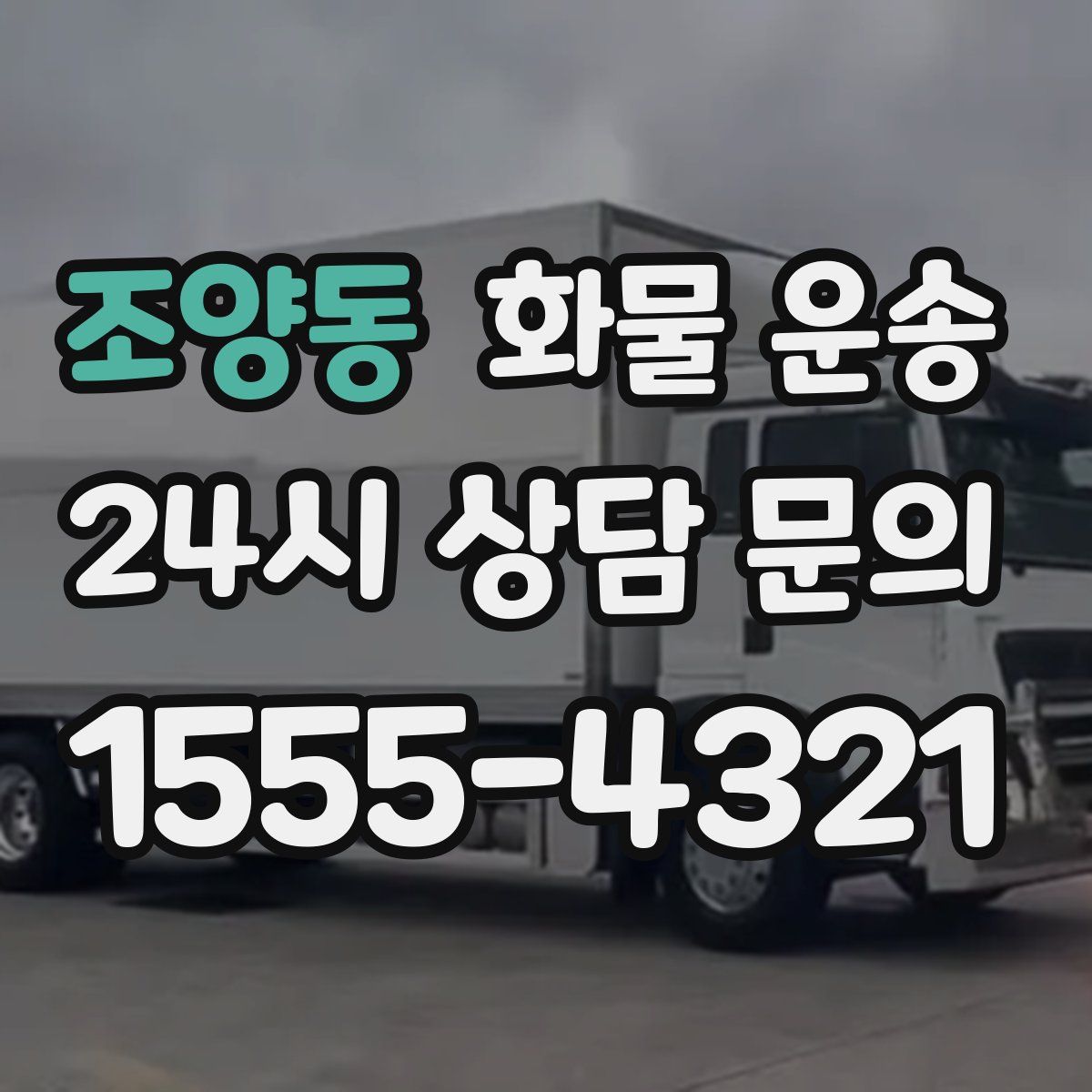 조양동 화물 운송