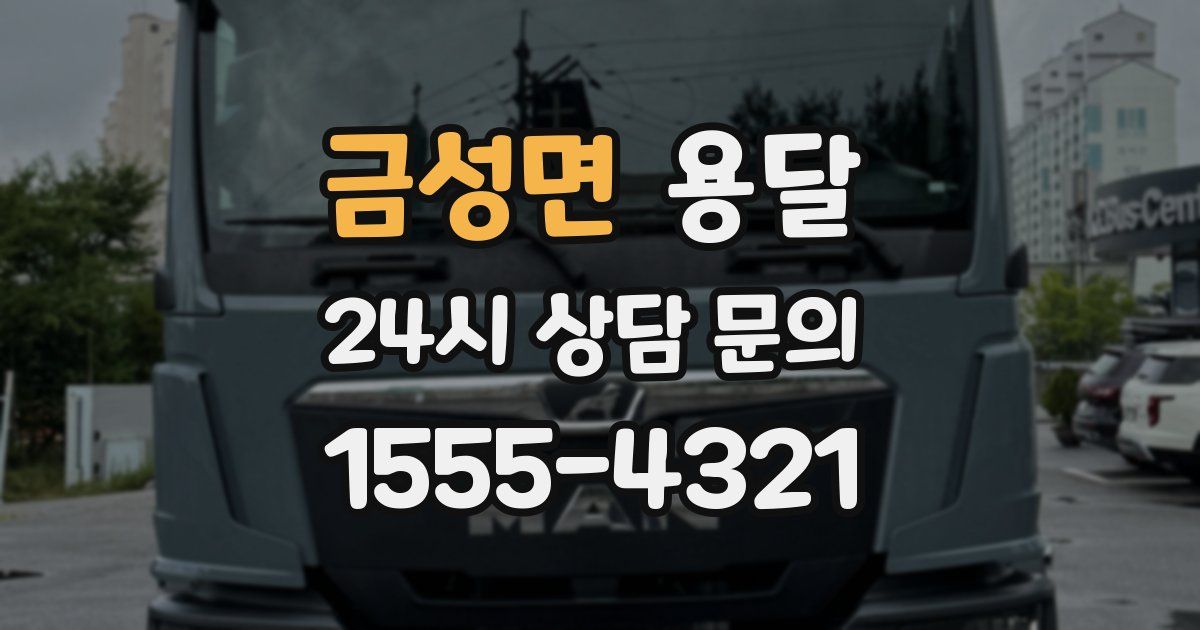 금성면 용달