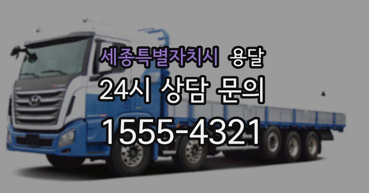 세종특별자치시 용달