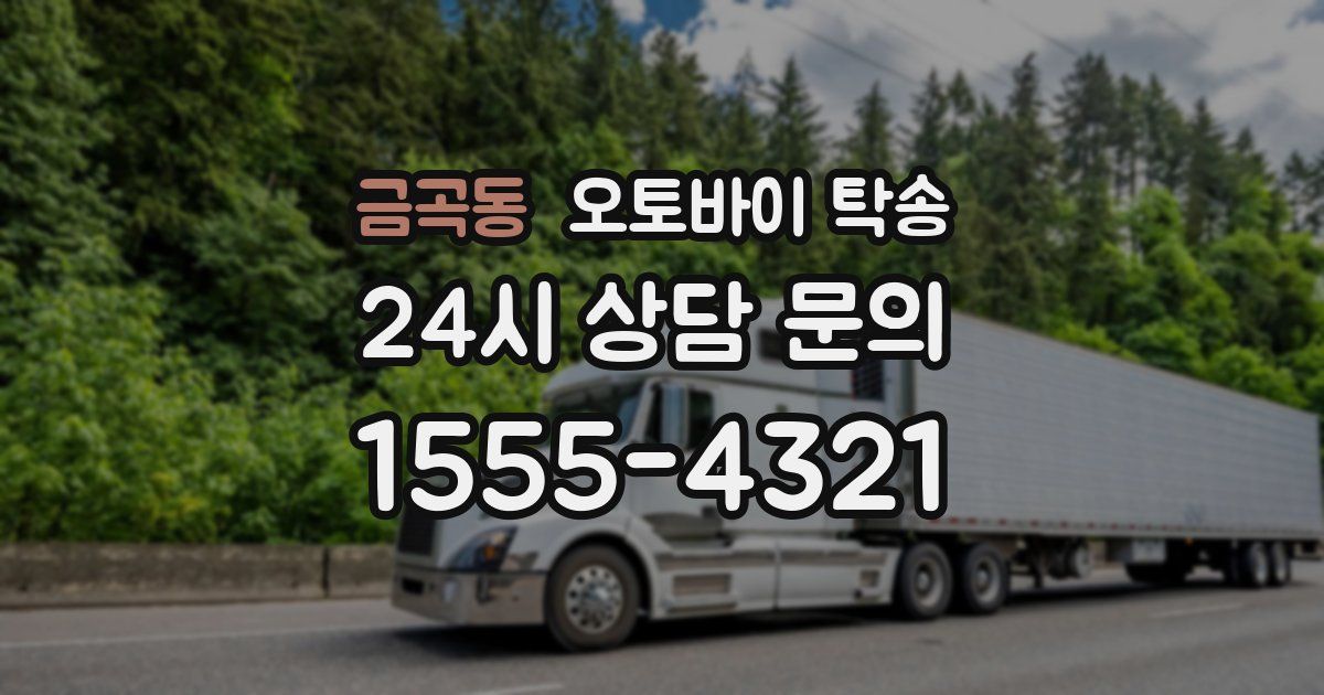 금곡동 오토바이 탁송