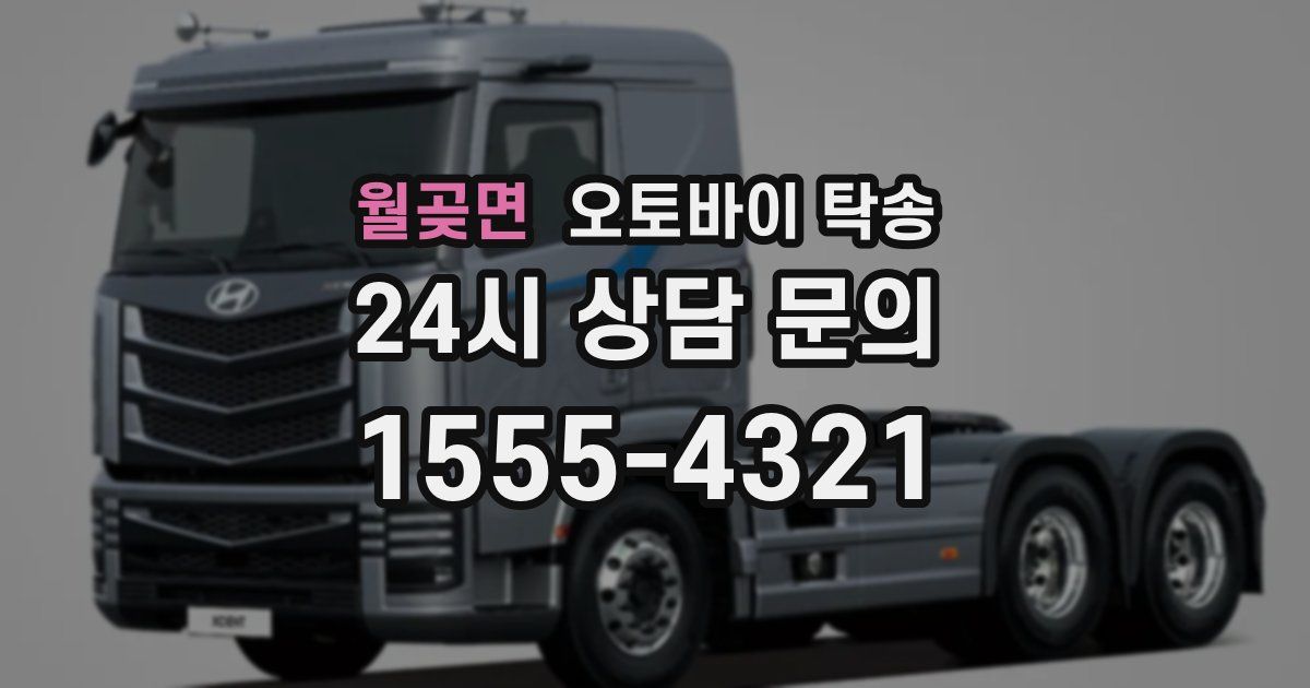 월곶면 오토바이 탁송