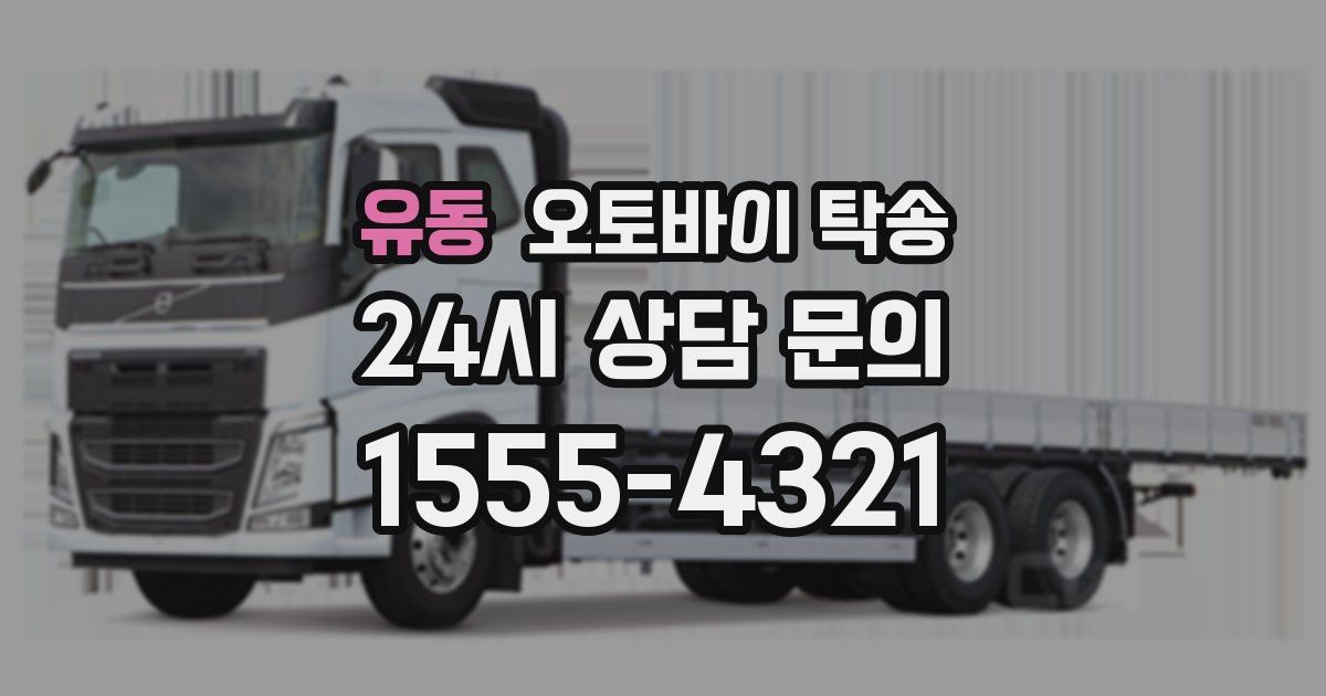 유동 오토바이 탁송