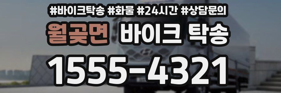 월곶면 바이크 탁송