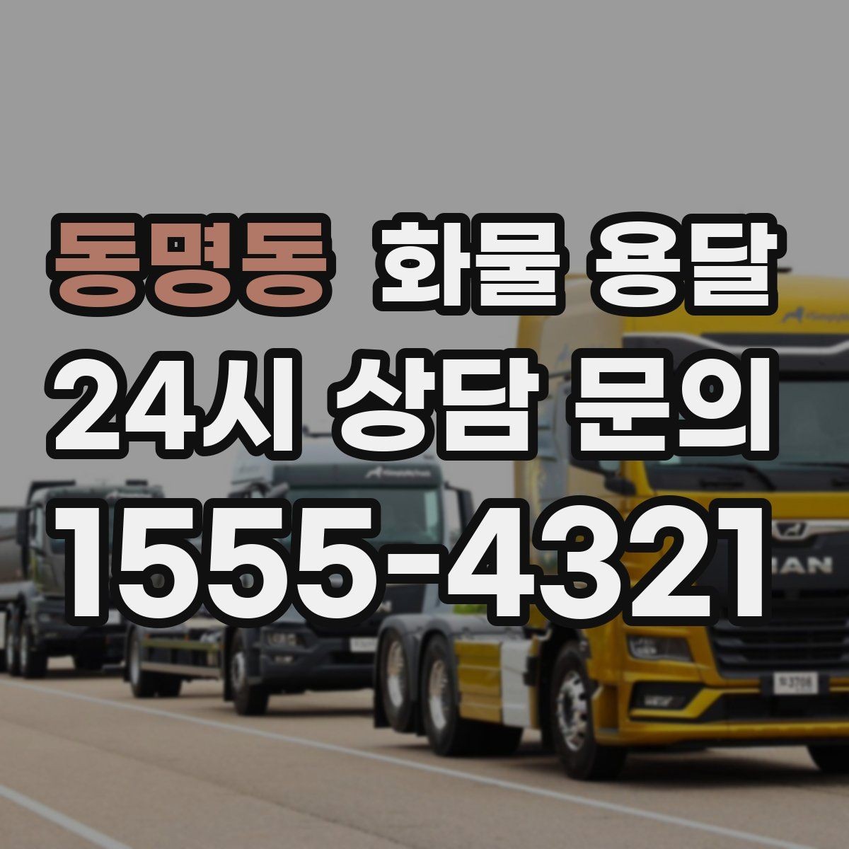 동명동 화물 용달 장비 운송은 왜 단독 운송이 유리할까