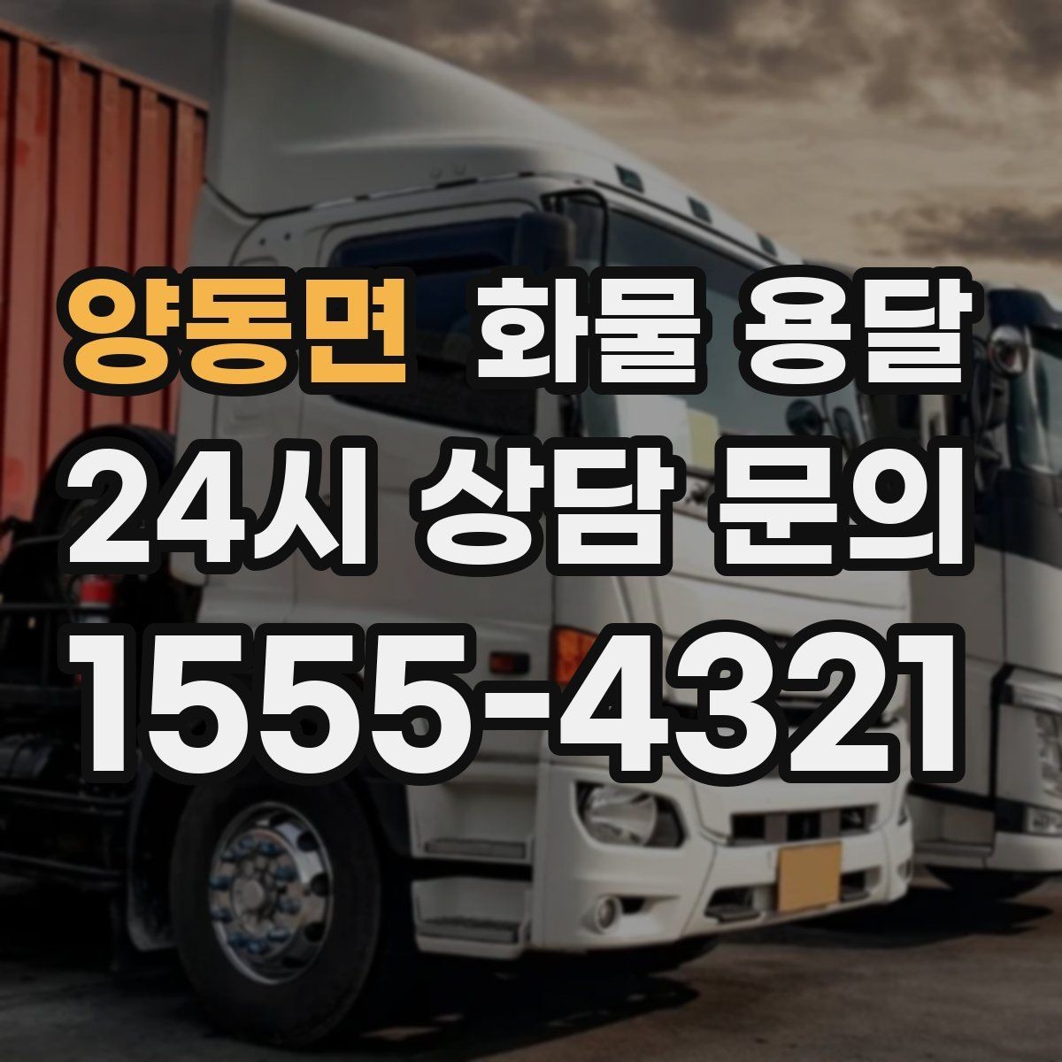 양동면 화물 용달 화분 식물 운송 시 흔들림 최소화 방법