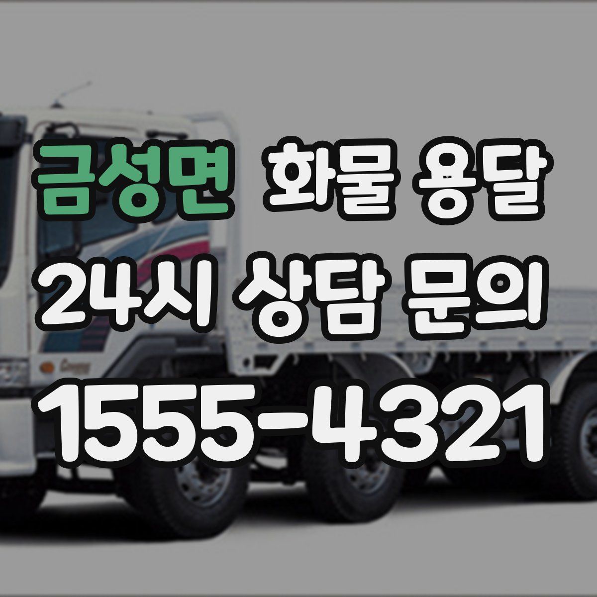 금성면 화물 용달