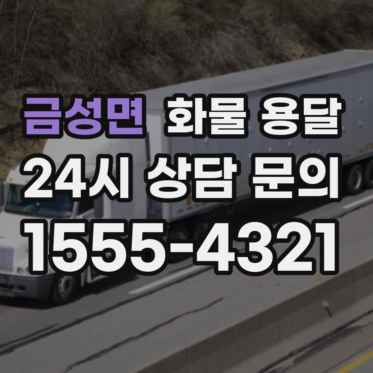 금성면 화물 용달