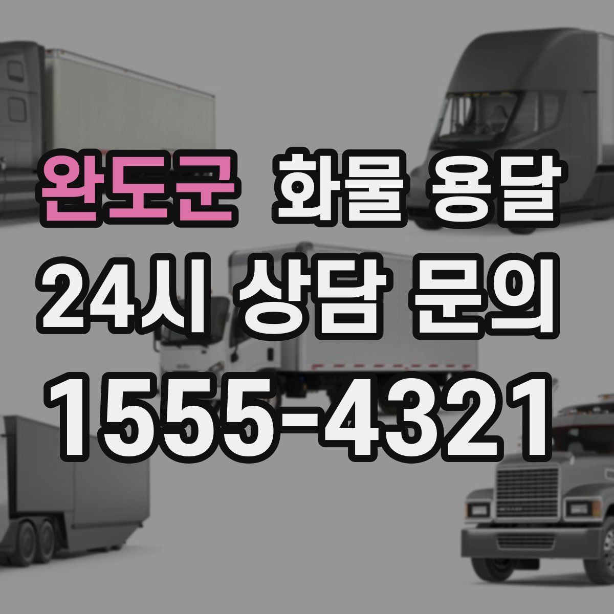 완도군 화물 용달