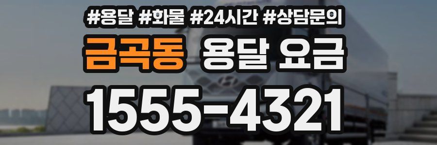 금곡동 용달 요금