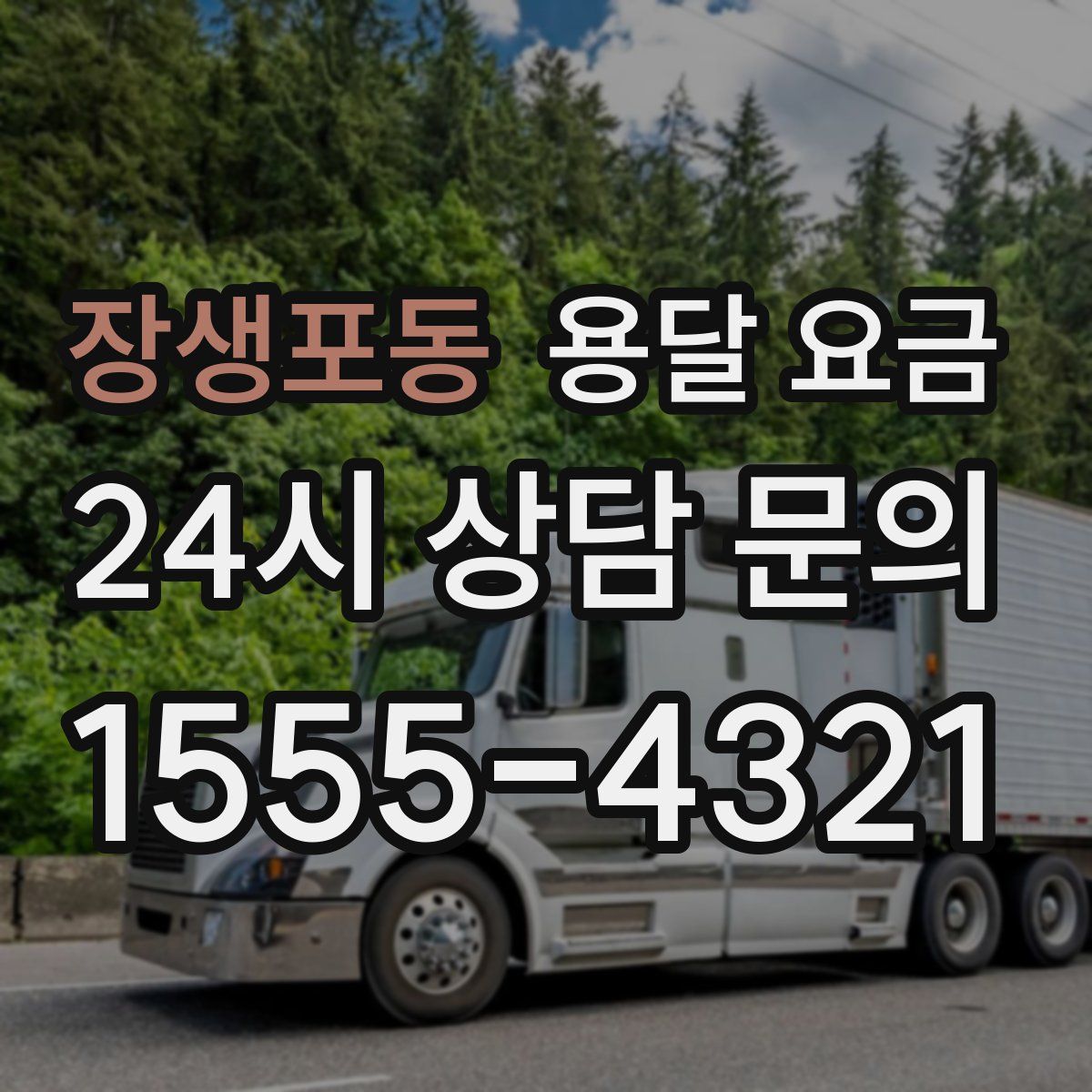 장생포동 용달 요금