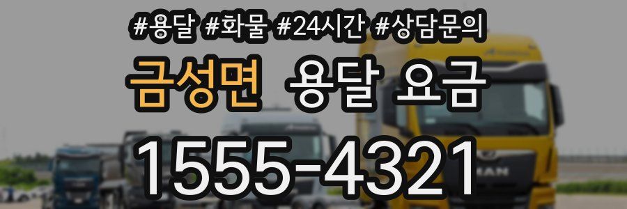 금성면 용달 요금