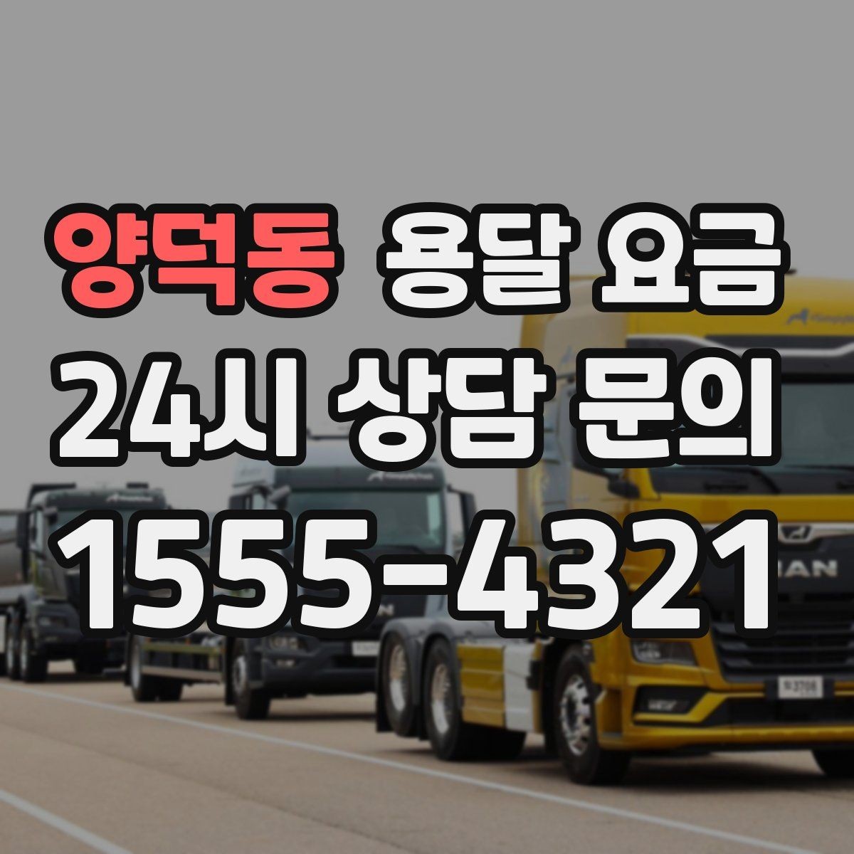 양덕동 용달 요금 차량 크기 선택 기준 정리