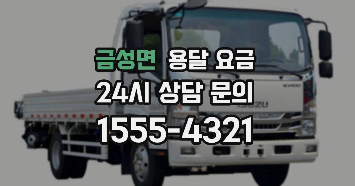 금성면 용달 요금