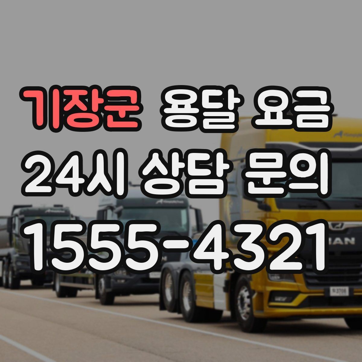 기장군 용달 요금 차량 크기 선택 기준 정리
