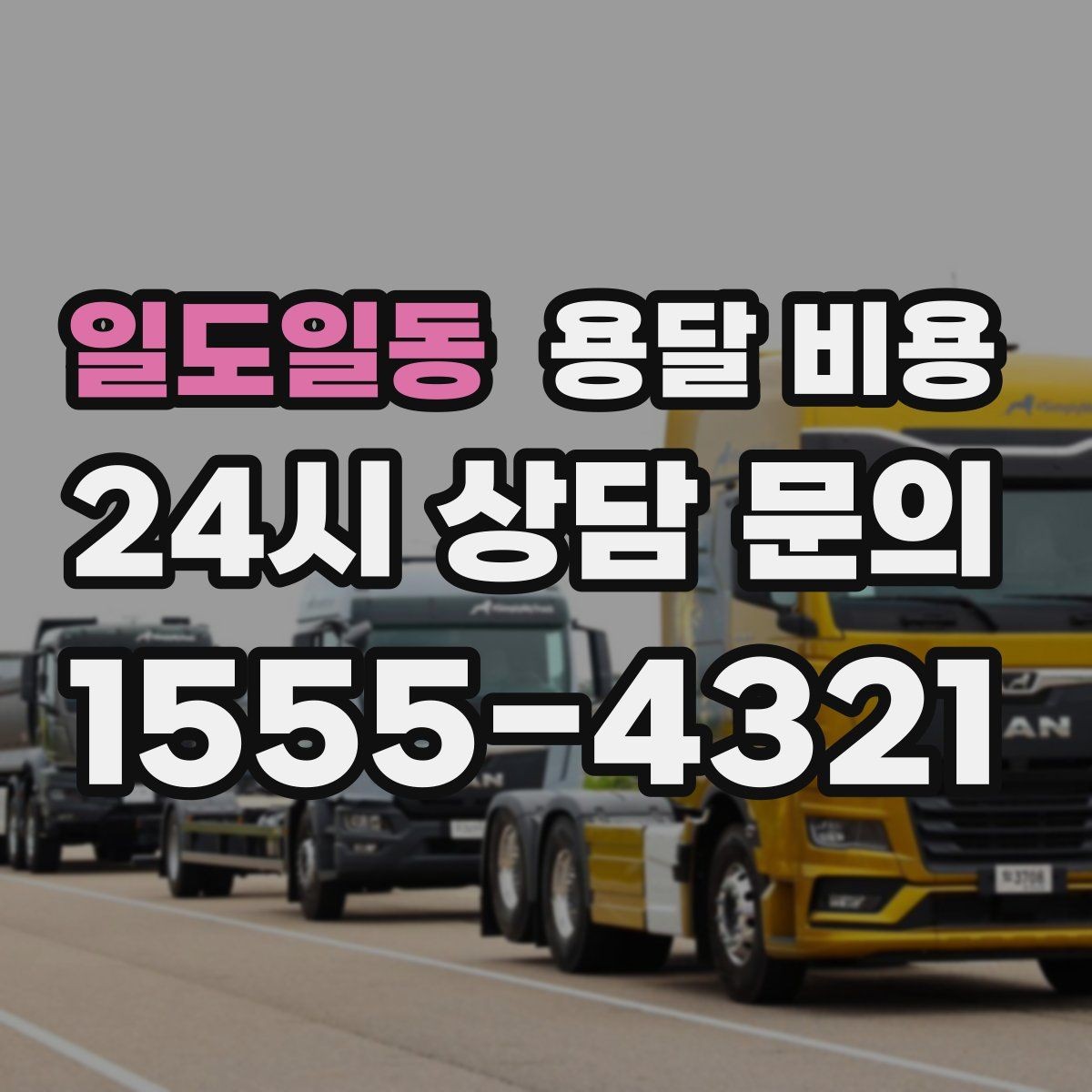 일도일동 용달 비용 이동 경로에 따라 달라지는 이유