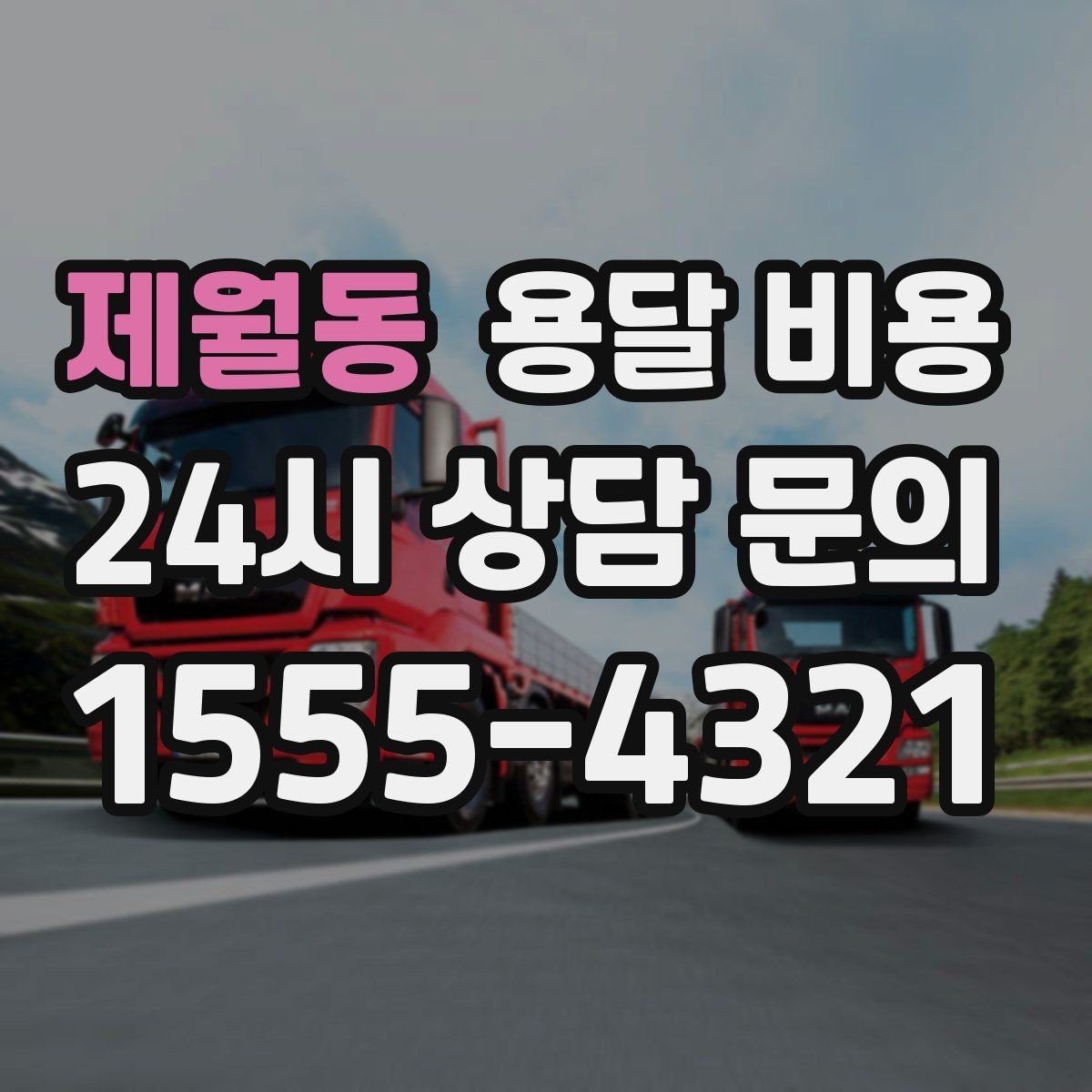 제월동 용달 비용 너무 저렴한 업체 피해야 하는 이유