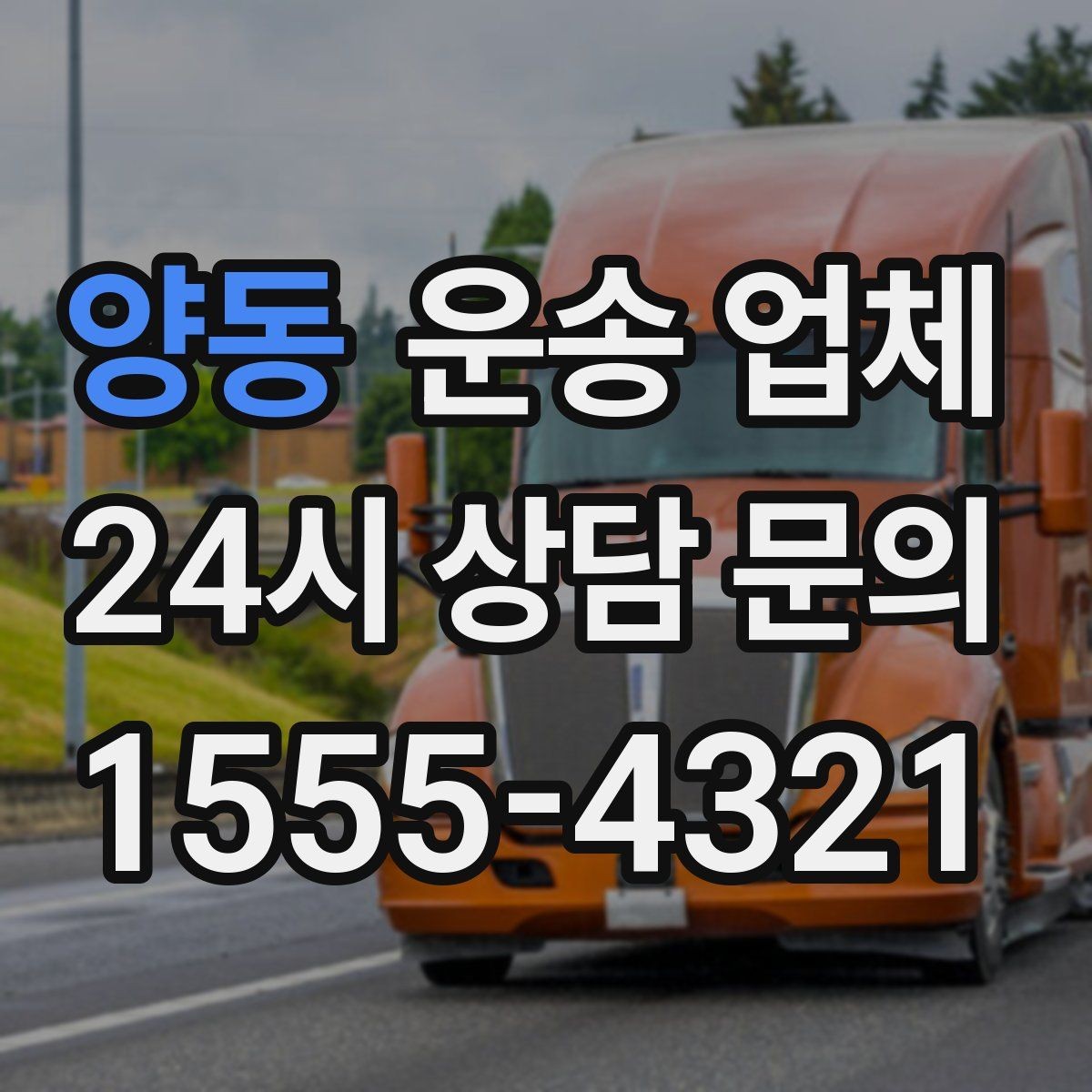 양동 운송 업체 실제 경험 기반으로 정리