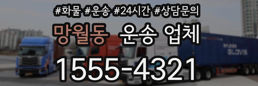 망월동 운송 업체