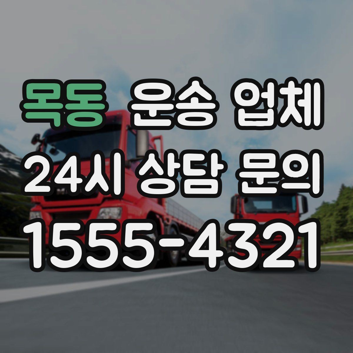 목동 운송 업체 여러 업체 비교 시 핵심 기준