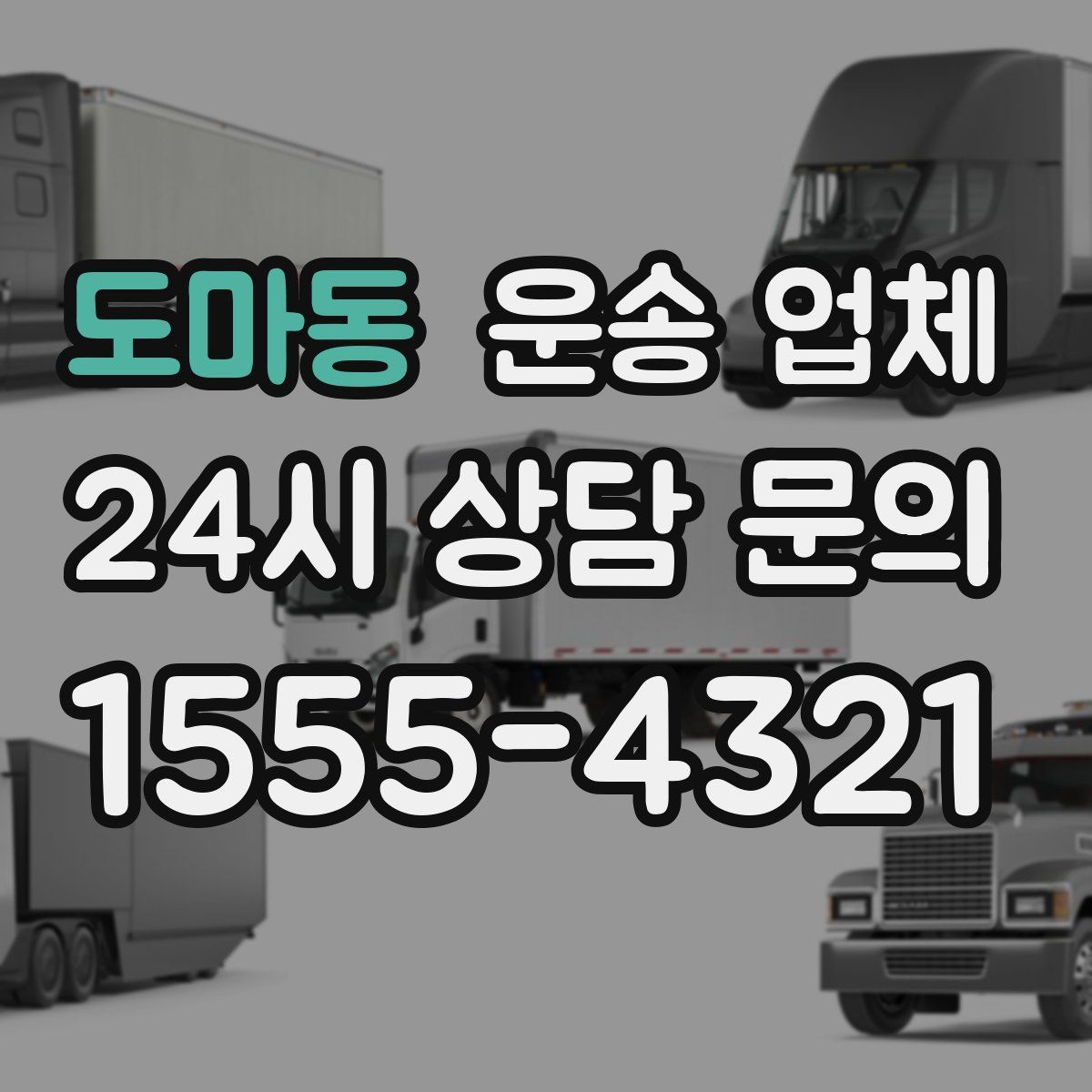 도마동 운송 업체