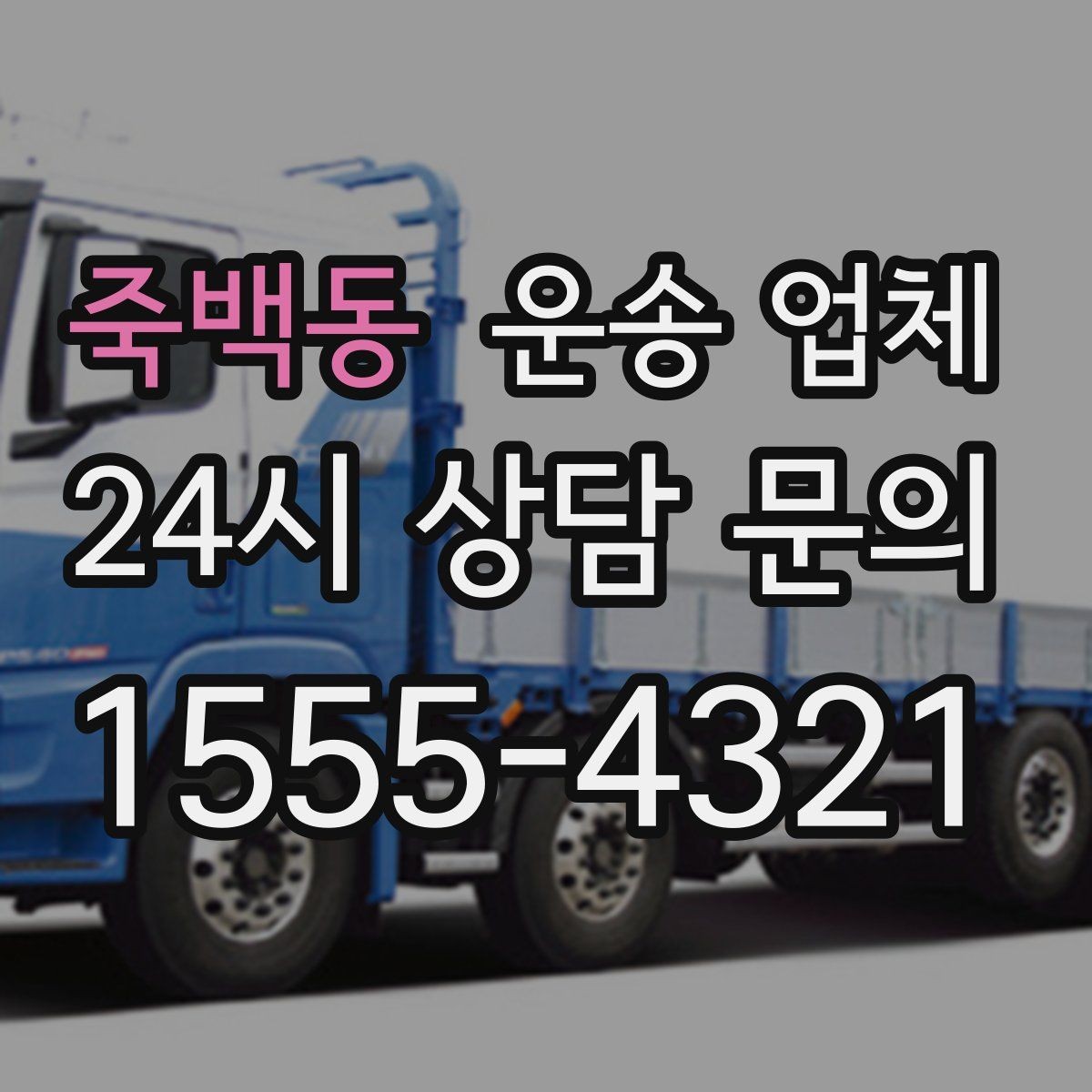 죽백동 운송 업체 후기 활용 시 주의할 점
