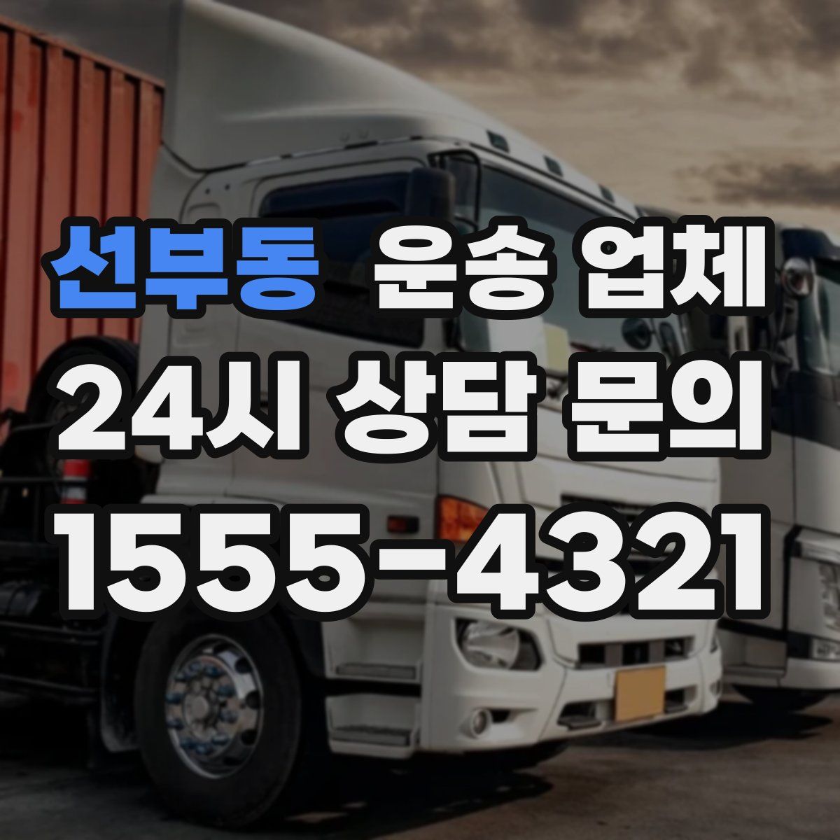 선부동 운송 업체