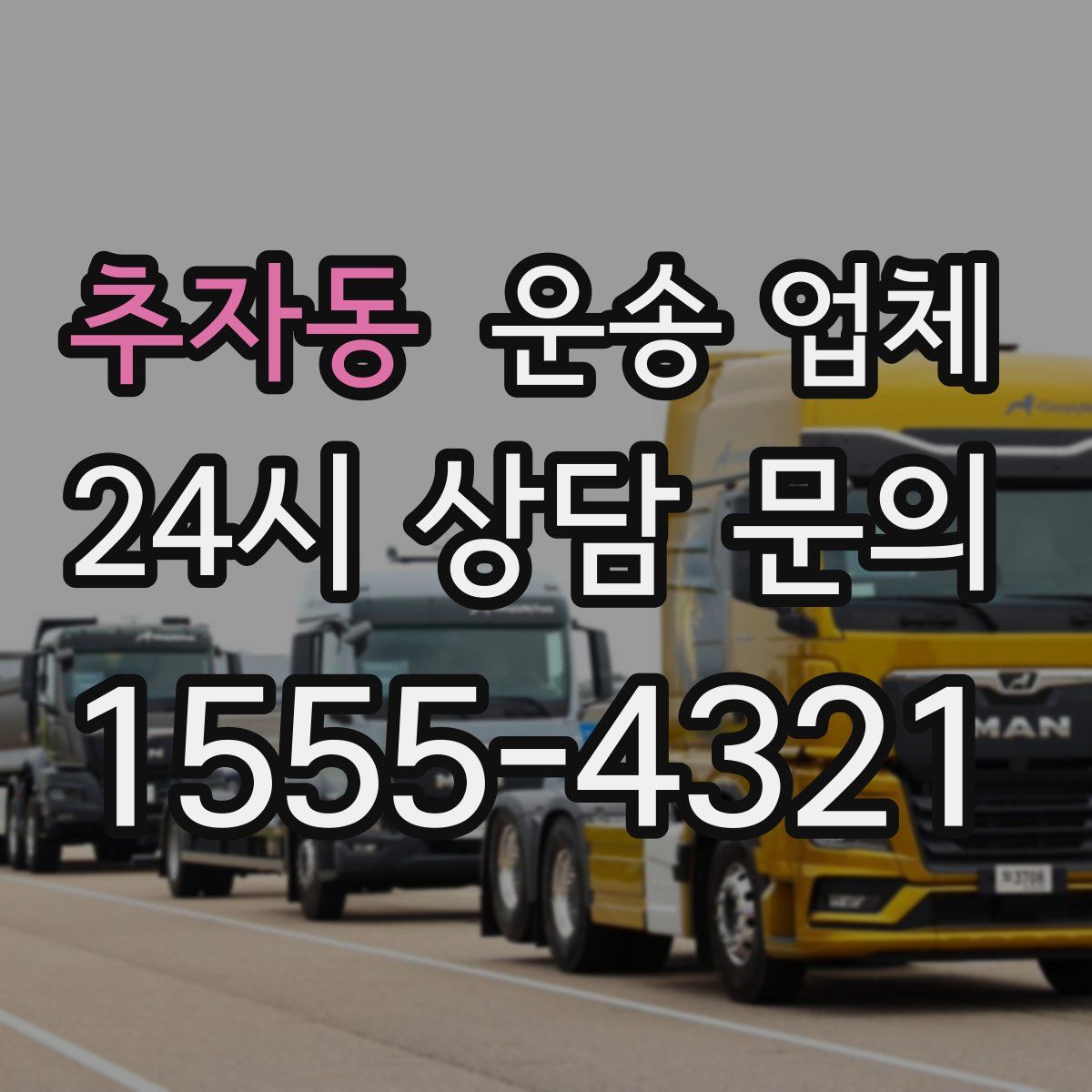 추자동 운송 업체