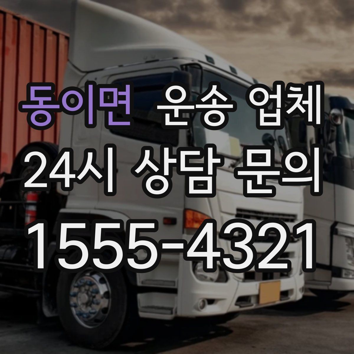 동이면 운송 업체 예약 시기별 차이 정리
