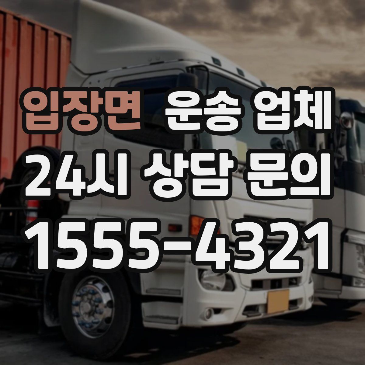 입장면 운송 업체