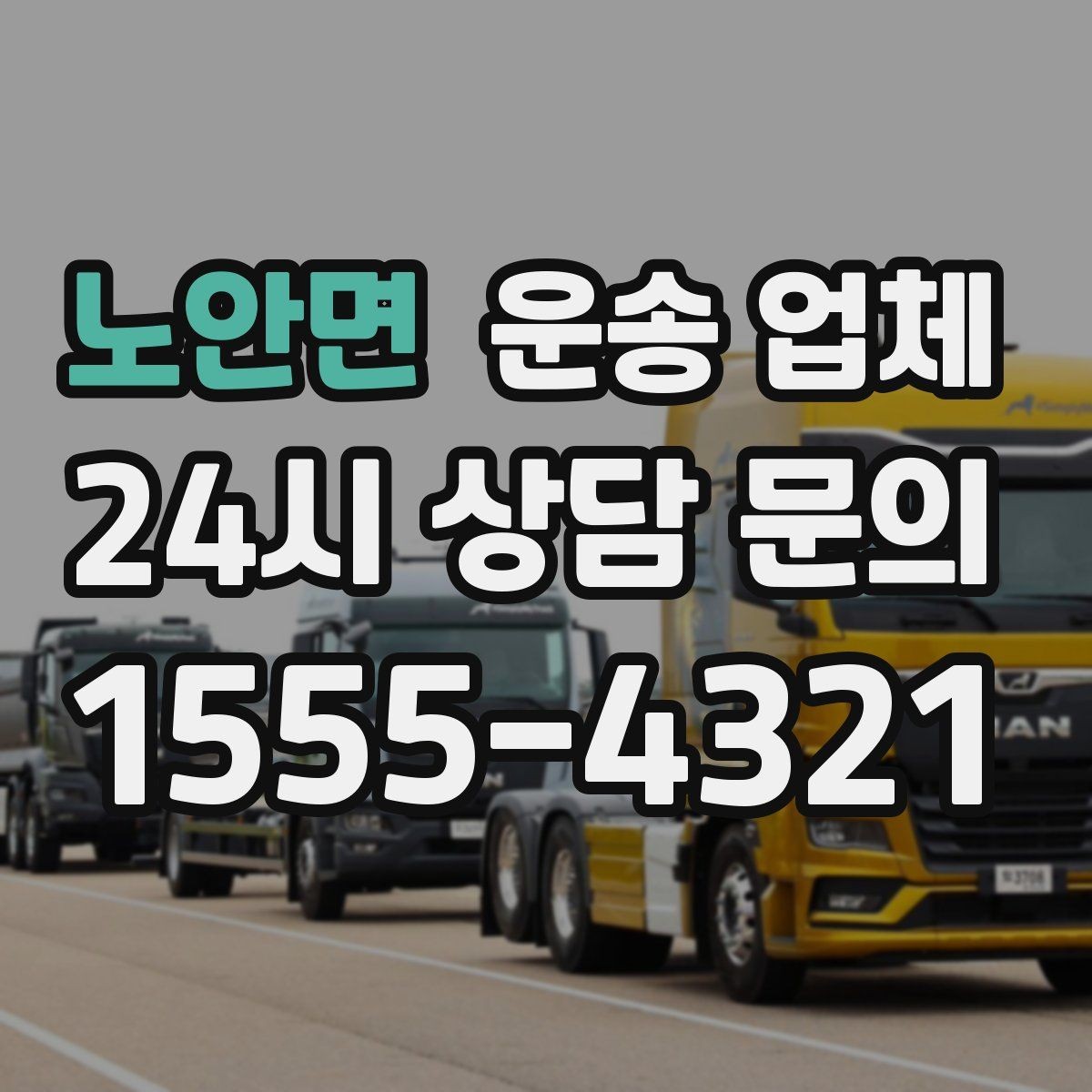노안면 운송 업체 현실적인 기준으로 비교하기