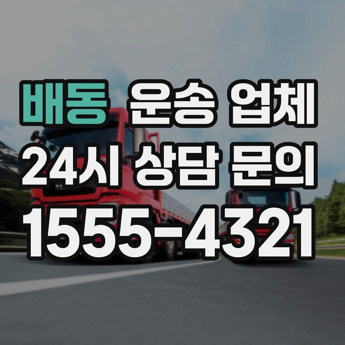 배동 운송 업체 파손 위험 줄이는 방법