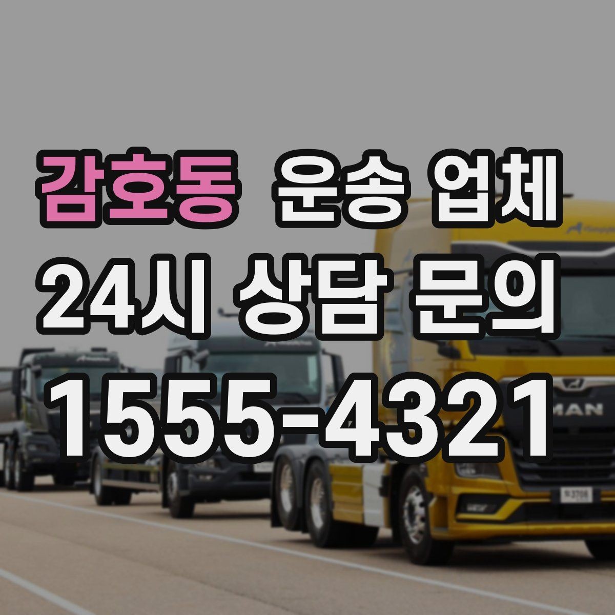 감호동 운송 업체 짐 크기와 차량 매칭 기준