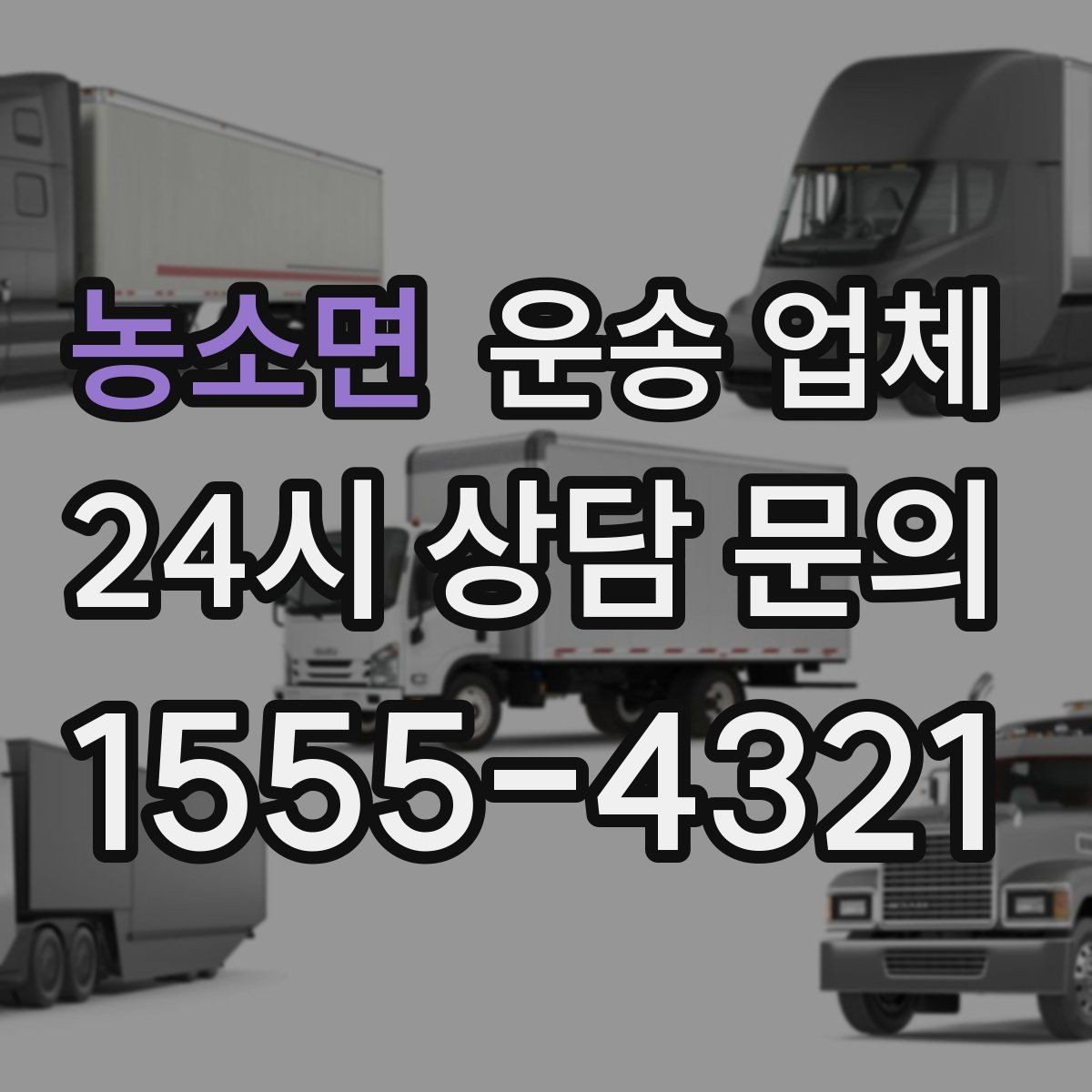 농소면 운송 업체 차량 종류별 차이 이해하기