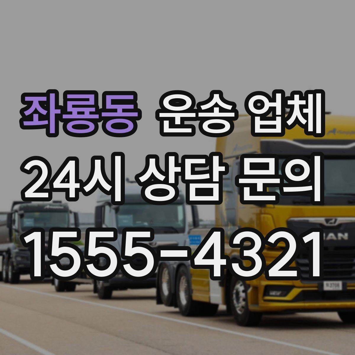 좌룡동 운송 업체 차량 종류별 특징 비교