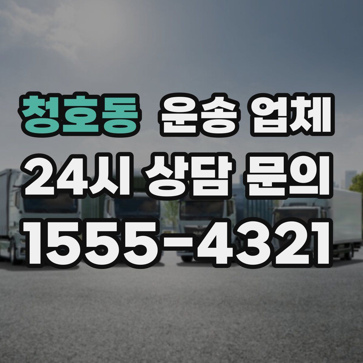 청호동 운송 업체