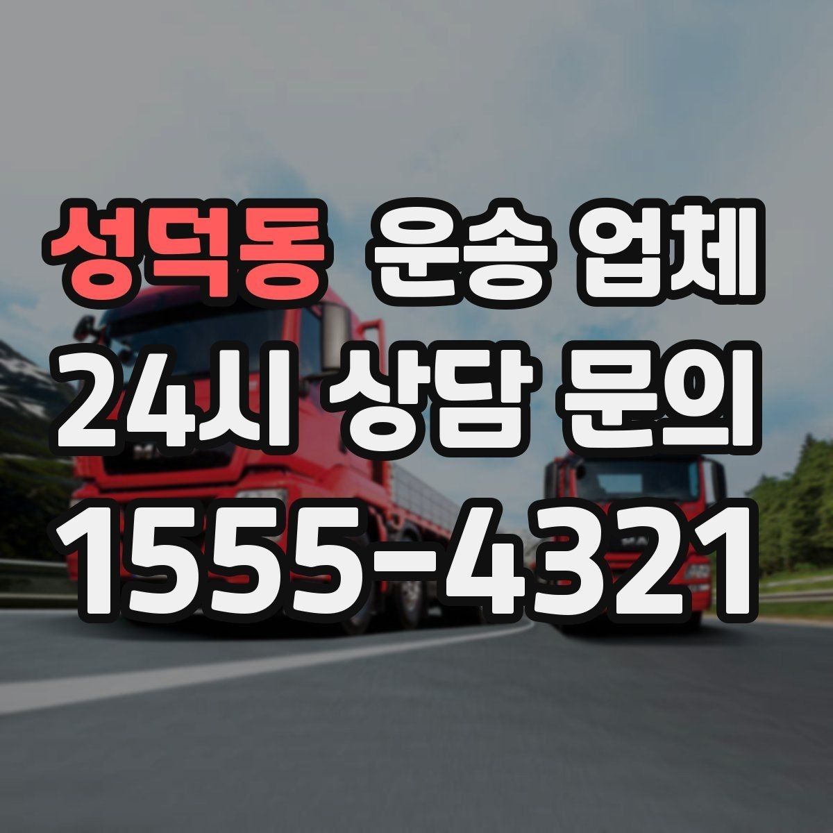 성덕동 운송 업체 현실적인 선택 기준 총정리