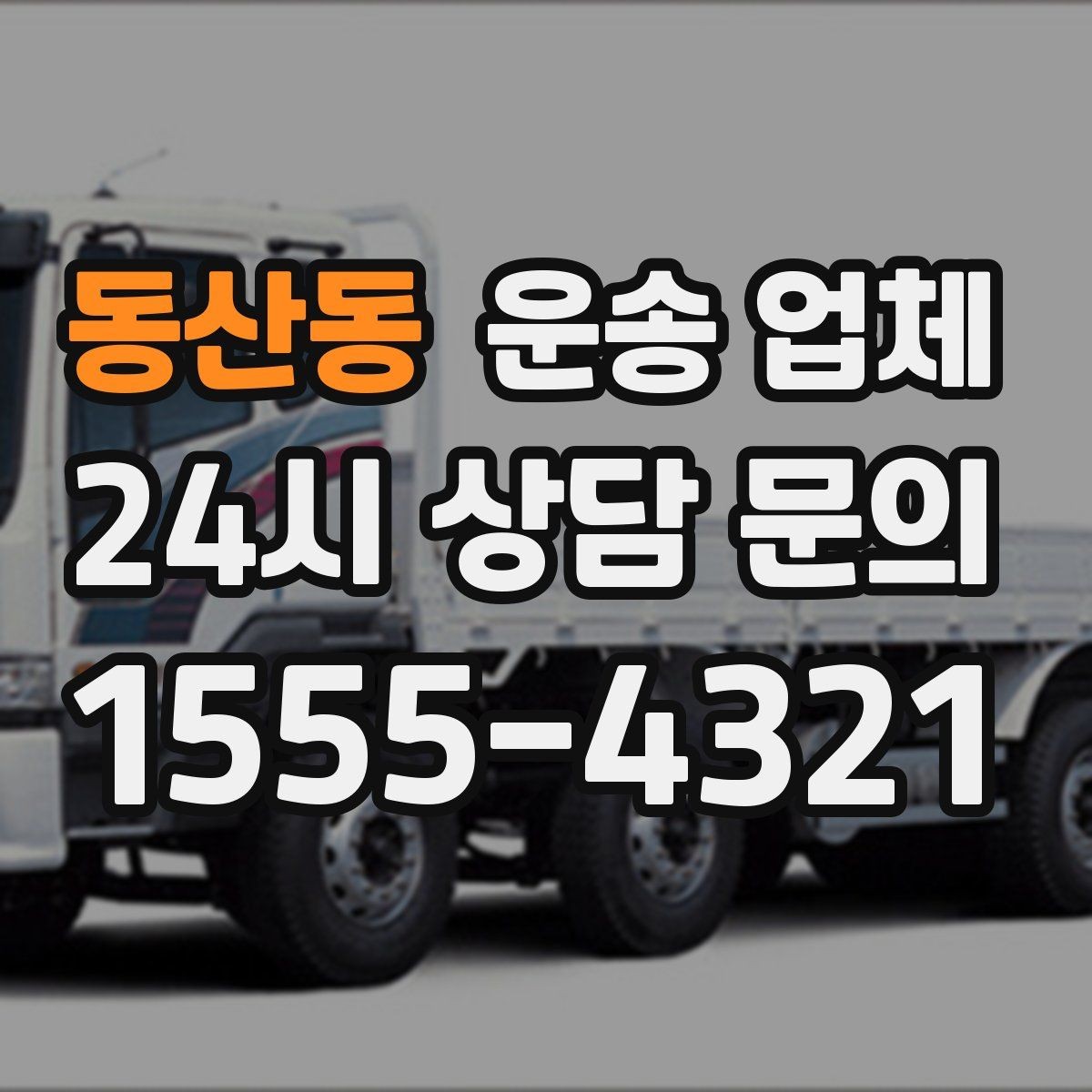 동산동 운송 업체 예약 시기별 차이 정리