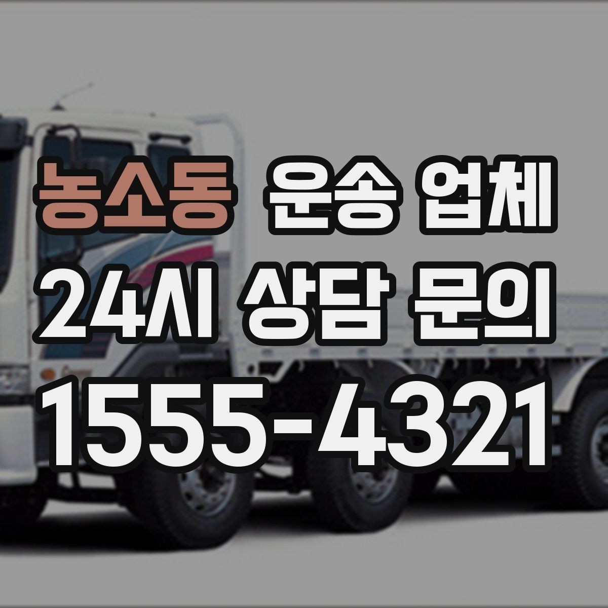 농소동 운송 업체 반포장과 일반 운송 차이
