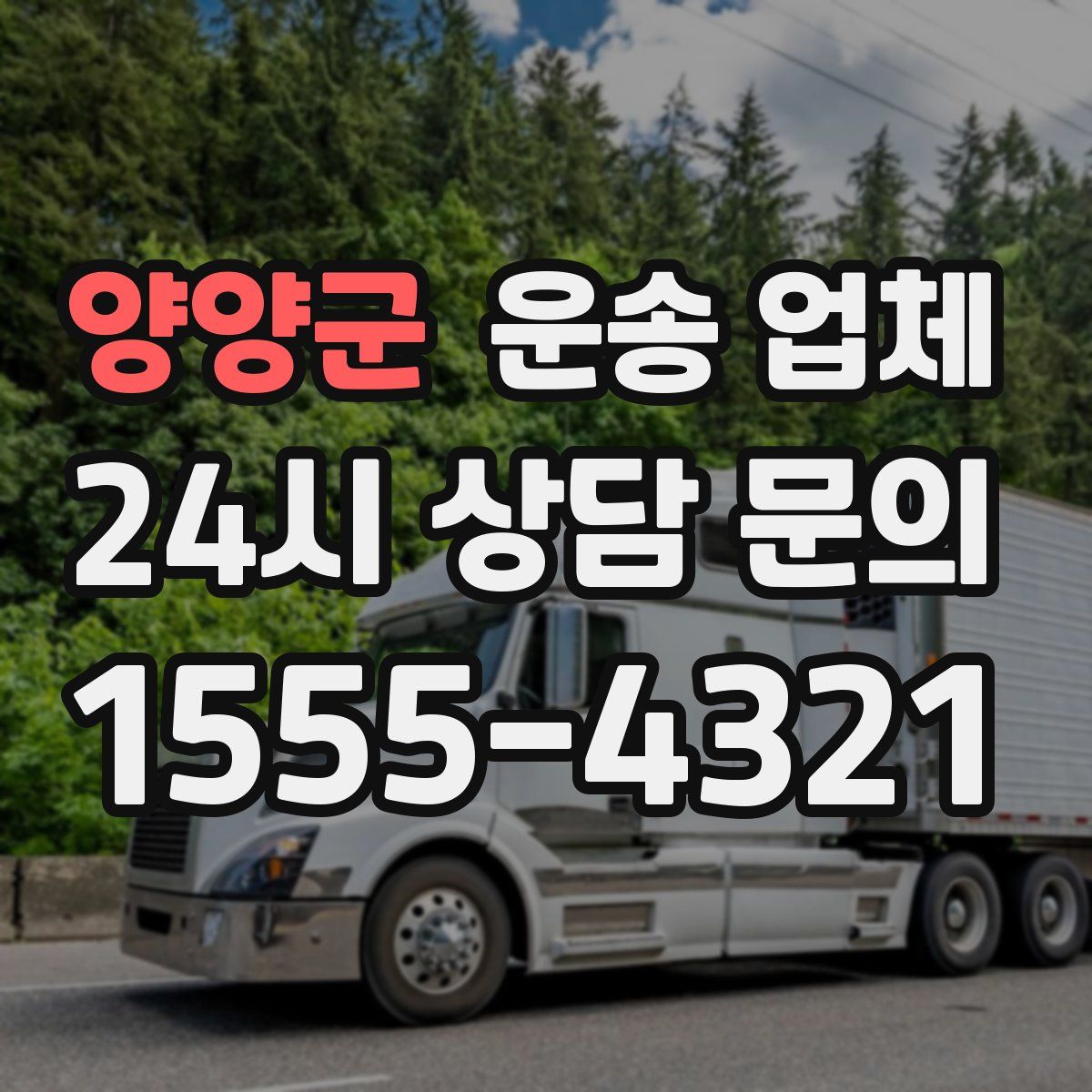 양양군 운송 업체