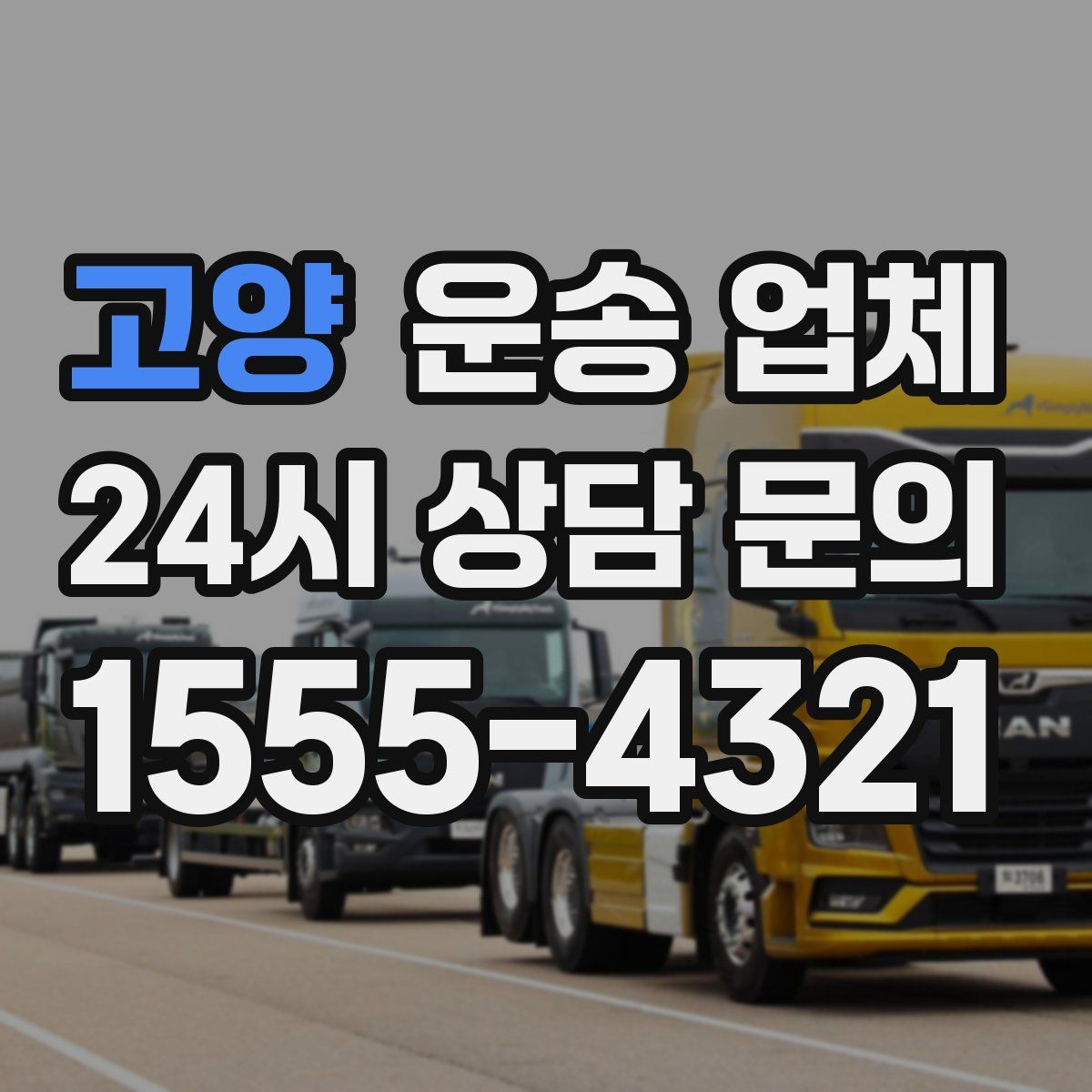 고양 운송 업체