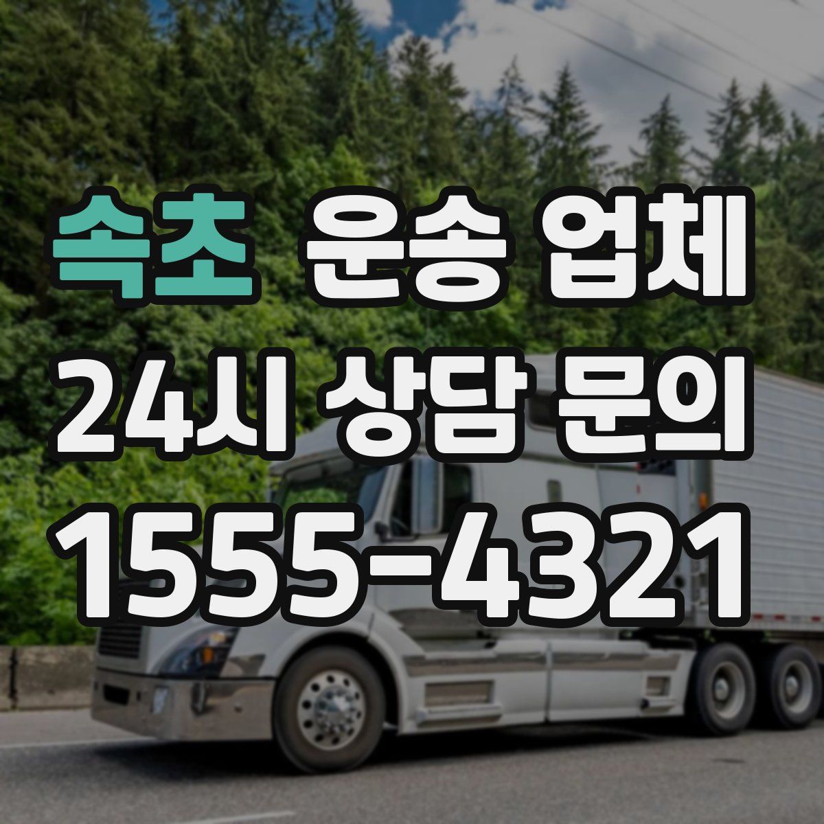 속초 운송 업체