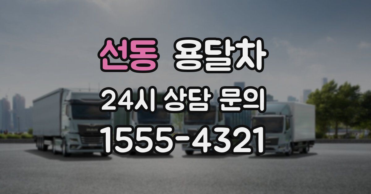 선동 용달차