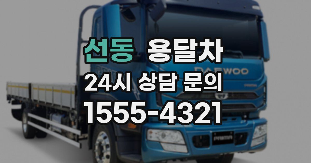 선동 용달차