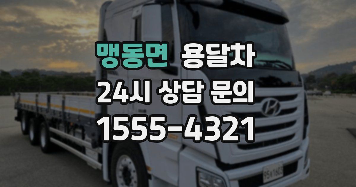 맹동면 용달차