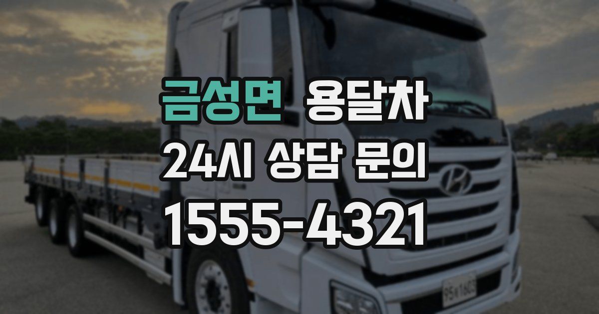 금성면 용달차