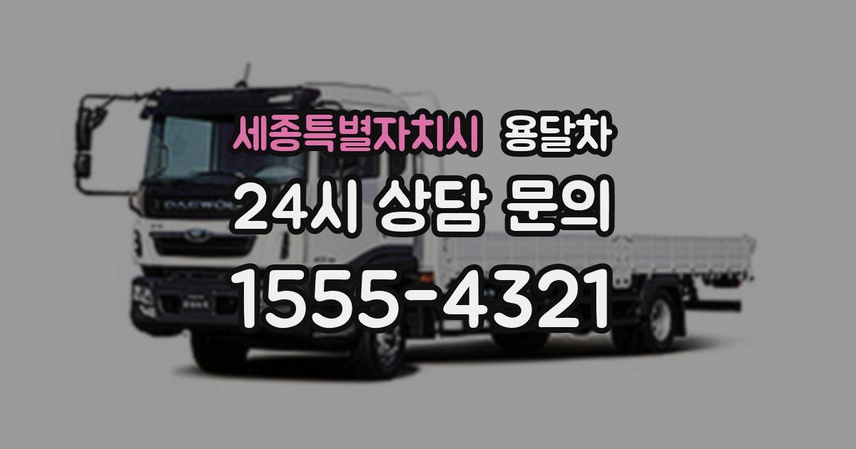 세종특별자치시 용달차
