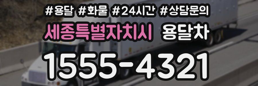 세종특별자치시 용달차