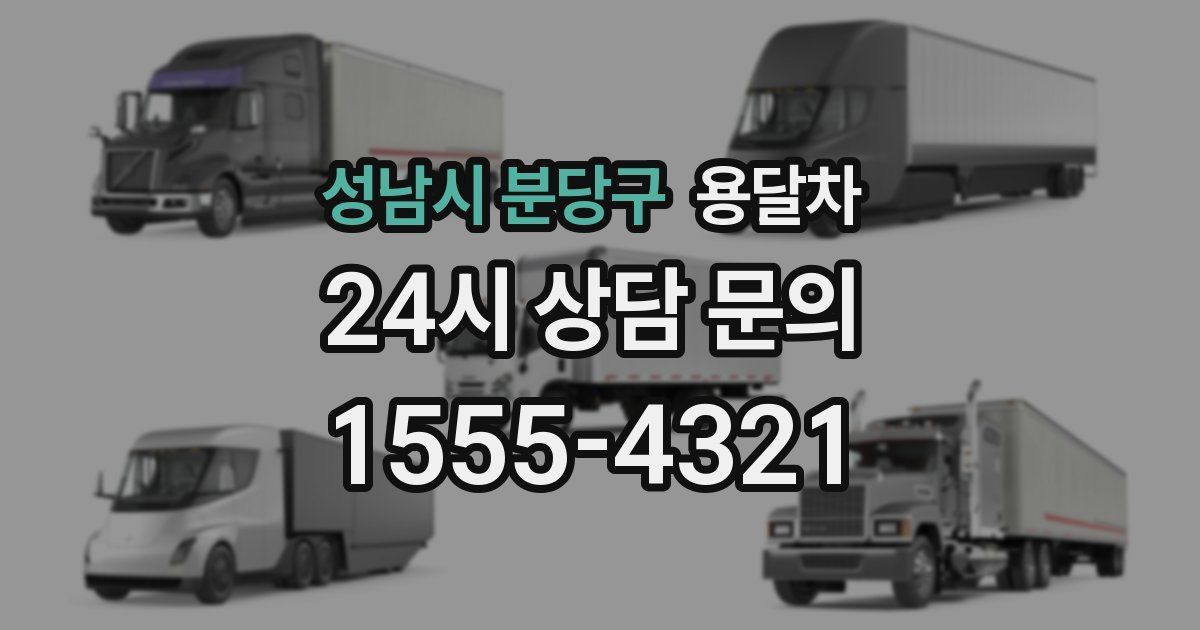 성남시 분당구 용달차