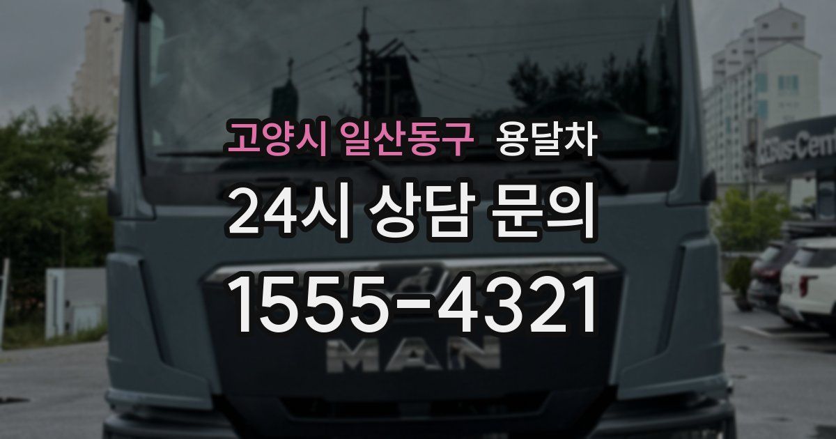 고양시 일산동구 용달차